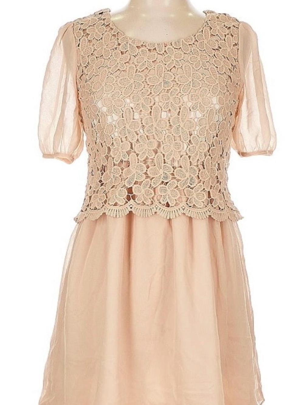 Lace Overlay Puff Sleeve Dress - Blush